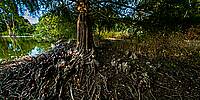 Micro Panorama Thumbnail for Social Sharing Sites